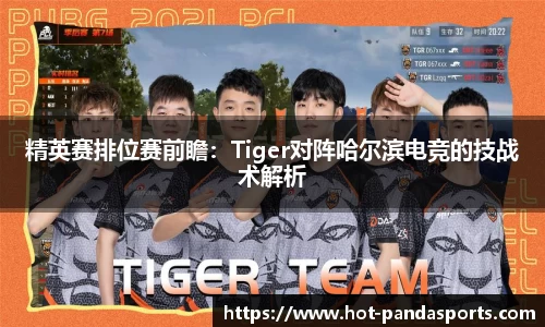 精英赛排位赛前瞻：Tiger对阵哈尔滨电竞的技战术解析